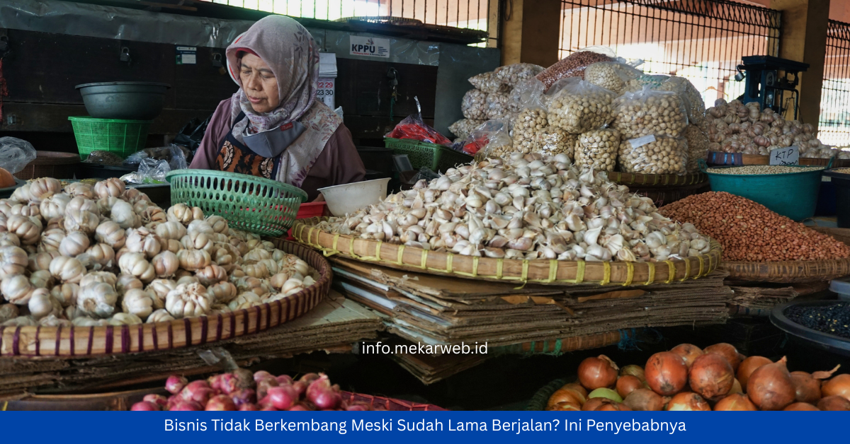 Bisnis Tidak Berkembang Meski Sudah Lama Berjalan? Ini Penyebabnya