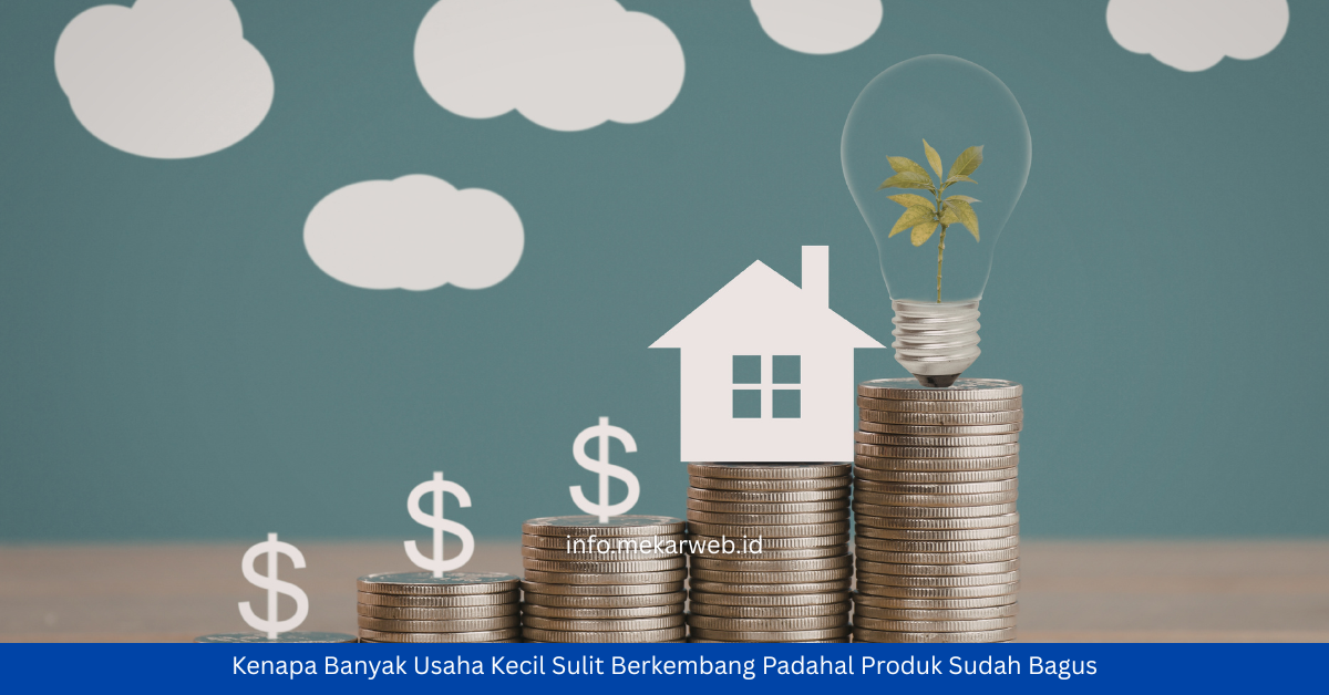 Kenapa Banyak Usaha Kecil Sulit Berkembang Padahal Produk Sudah Bagus