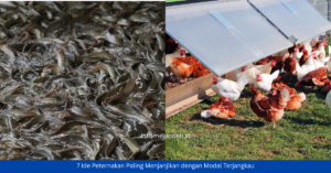 7 Ide Peternakan Paling Menjanjikan dengan Modal Terjangkau