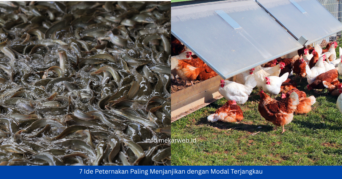 7 Ide Peternakan Paling Menjanjikan dengan Modal Terjangkau