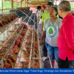 Cara Memulai Peternakan Agar Tidak Rugi: Strategi dan Kesalahan Pemula