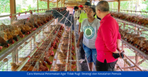 Cara Memulai Peternakan Agar Tidak Rugi: Strategi dan Kesalahan Pemula