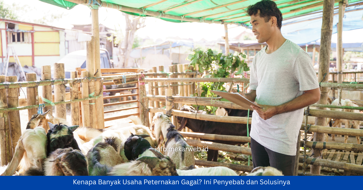 Kenapa Banyak Usaha Peternakan Gagal? Penyebab dan Solusinya